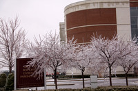 Ice storm 1-27-09