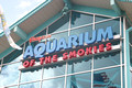 Hard Rock Cafe and Aquarium